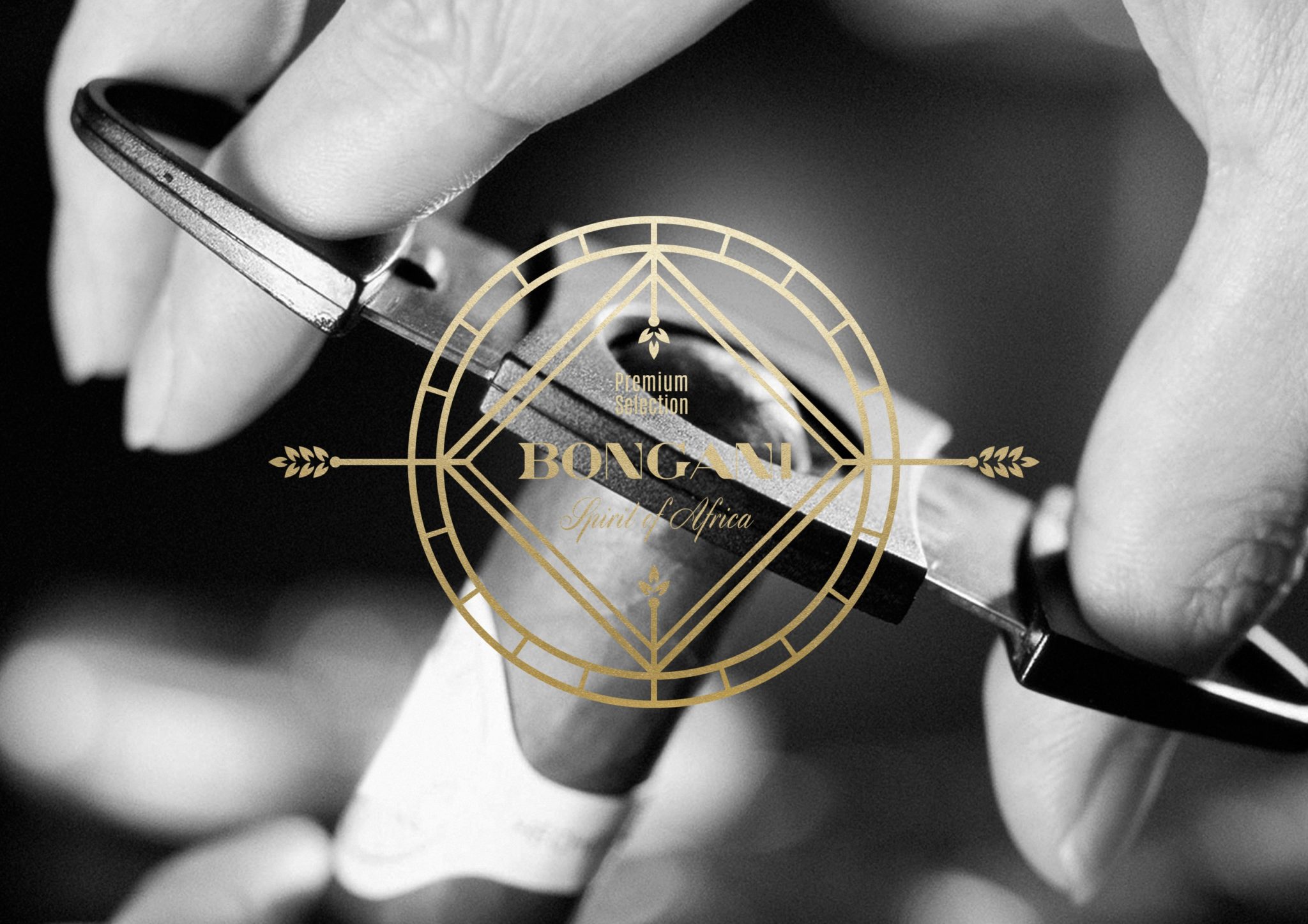 Bongani Robusto Cigars