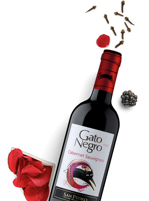 Gato Negro Cabernet Merlot 250ml